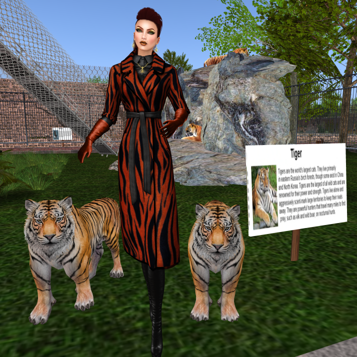 Tiger Outfit_003.png